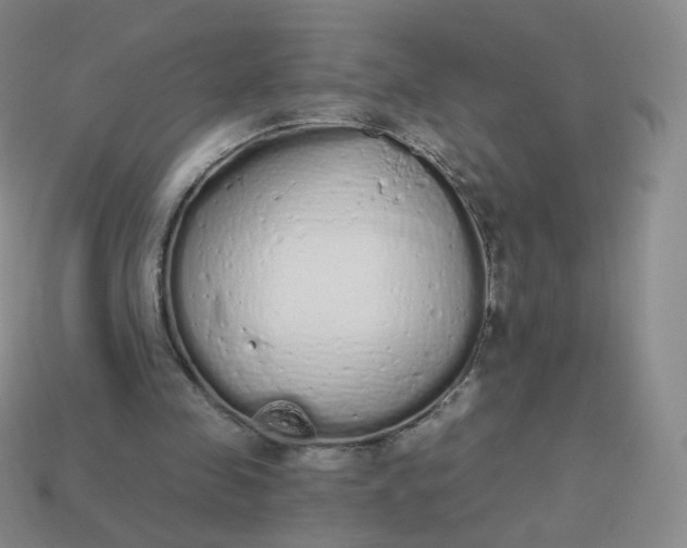 X0000114000341200910161714