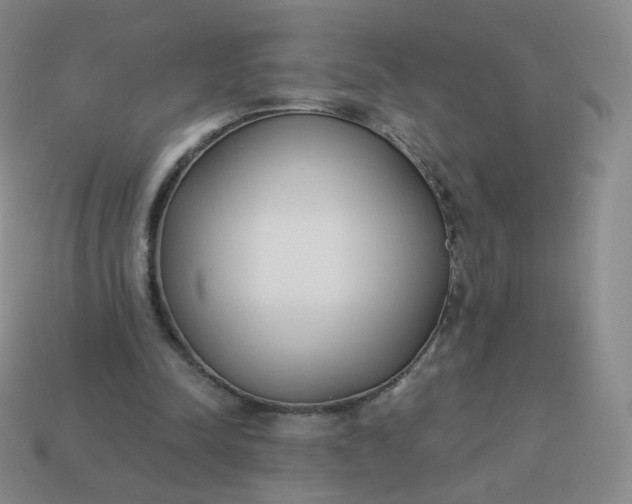 X0000114000342200910161714