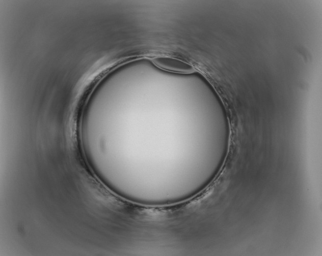 X0000114000343200910161714