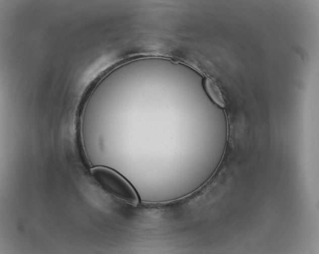 X0000114000344200910161714
