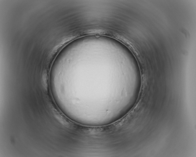 X0000114000345200910161714