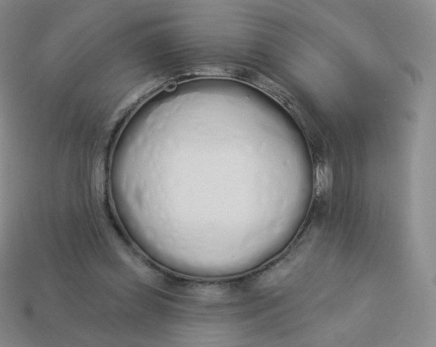 X0000114000349200910161714