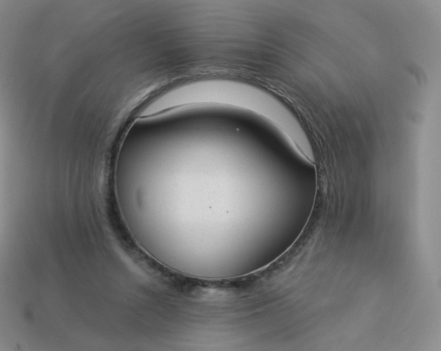 X0000114000352200910161714