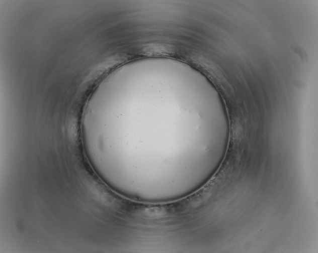 X0000114000353200910161714