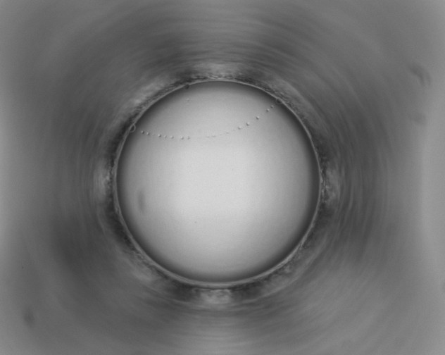 X0000114000355200910161714