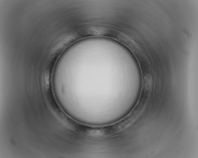 X0000114000358200910161714