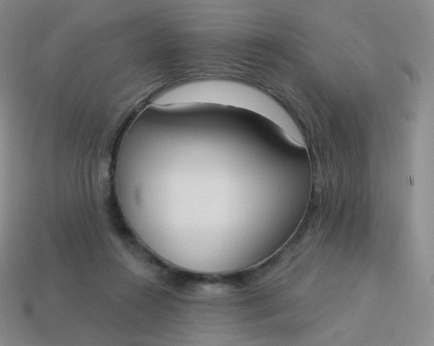 X0000114000360200910161714