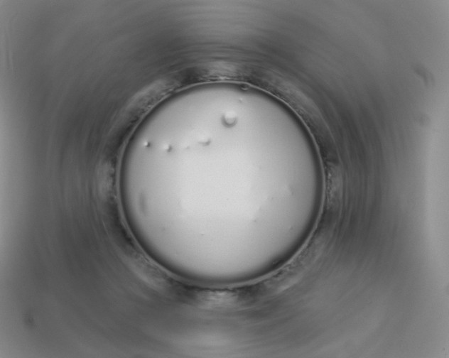 X0000114000361200910161714