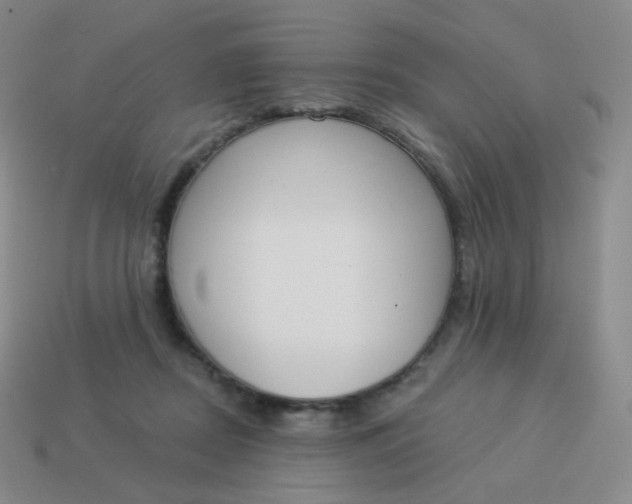 X0000114000362200910161714