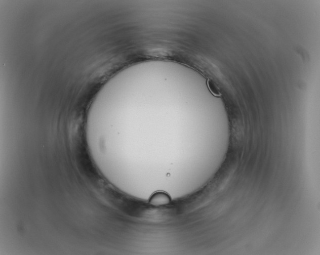 X0000114000364200910161714