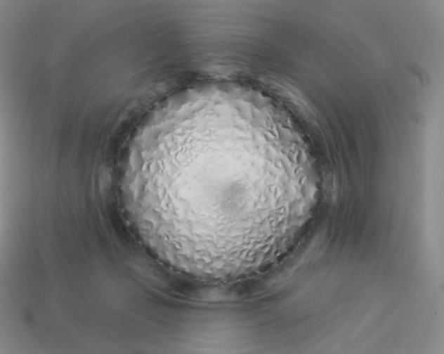 X0000114000365200910161714