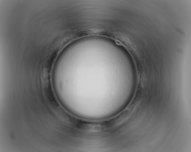 X0000114000366200910161715
