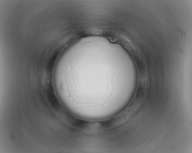 X0000114000374200910161715