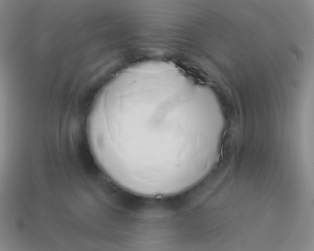 X0000114000376200910161715