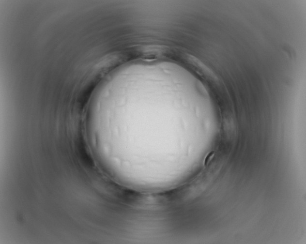 X0000114000379200910161715