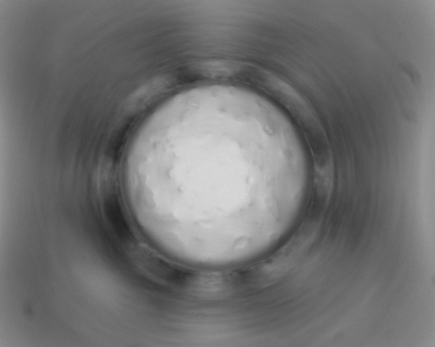 X0000114000381200910161715