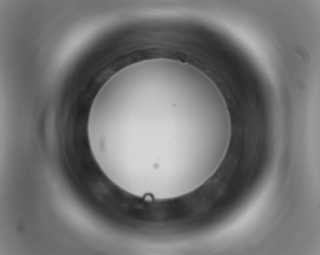 X0000114000382200910161715