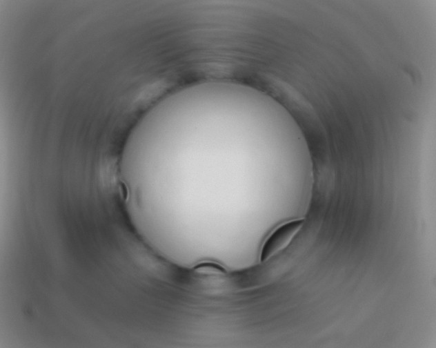 X0000114000383200910161715