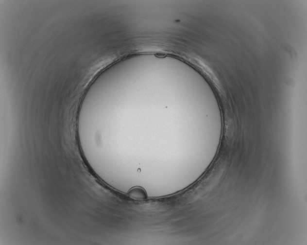 X0000114000385200910161714