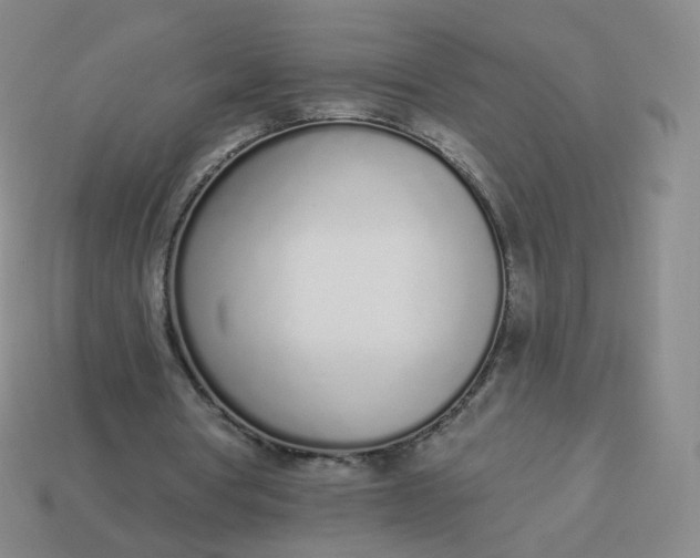 X0000114000386200910161714