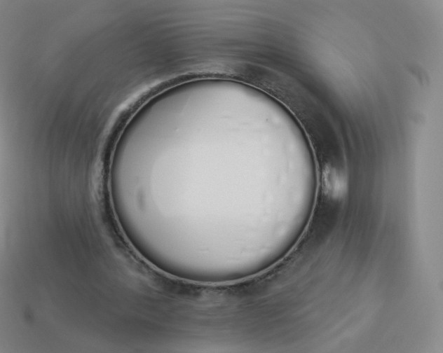 X0000114000388200910161714