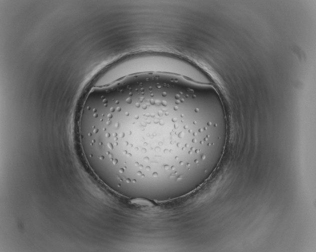 X0000114000391200910161714