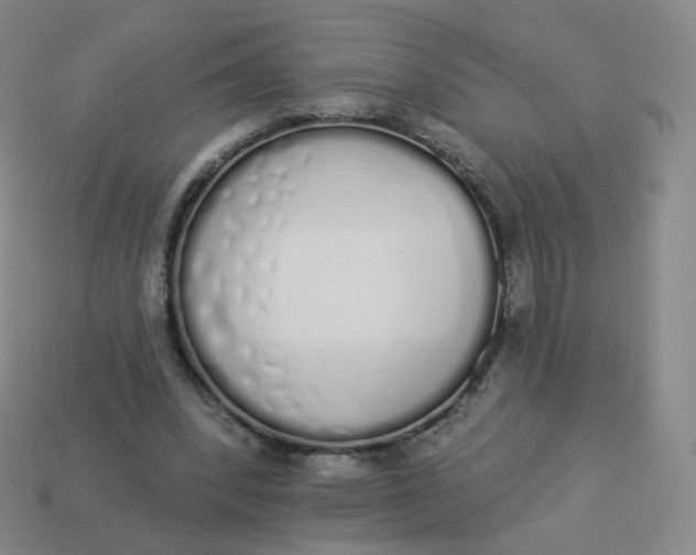 X0000114000392200910161714