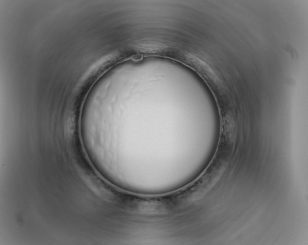 X0000114000400200910161714