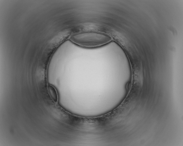 X0000114000401200910161714