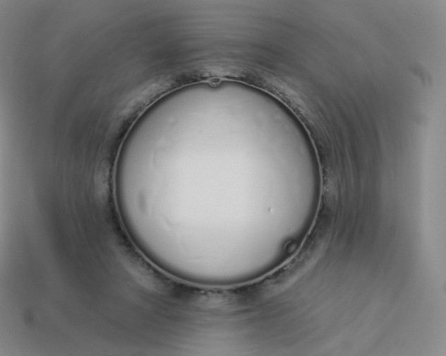 X0000114000402200910161714