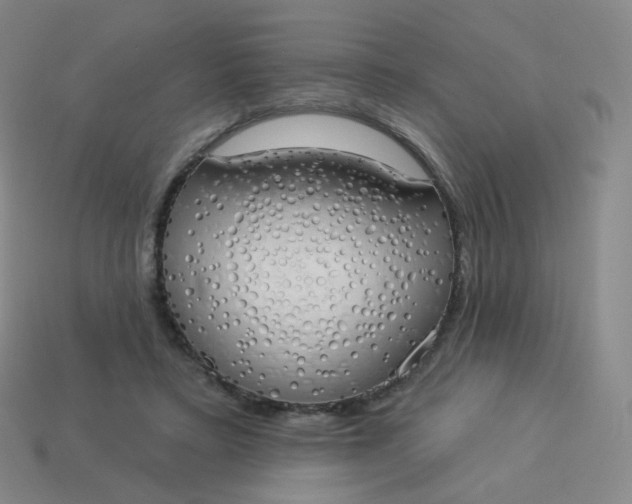X0000114000403200910161714
