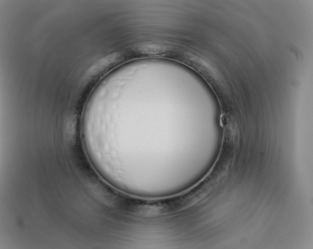 X0000114000404200910161714