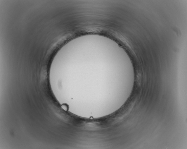 X0000114000407200910161714