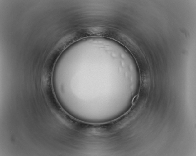 X0000114000408200910161714