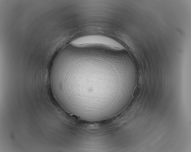 X0000114000411200910161713
