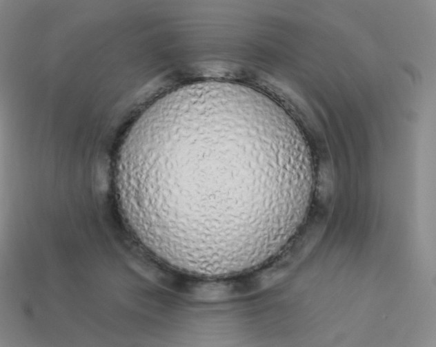 X0000114000413200910161713