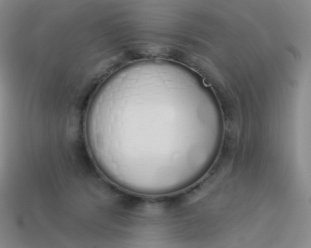X0000114000416200910161713