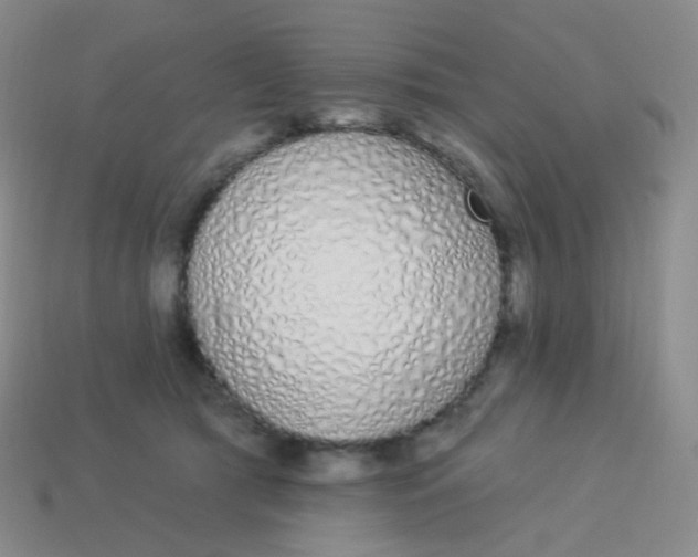 X0000114000417200910161713