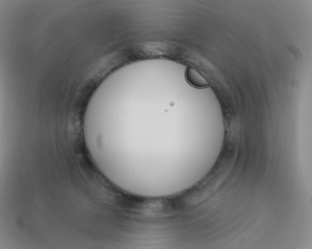 X0000114000418200910161713