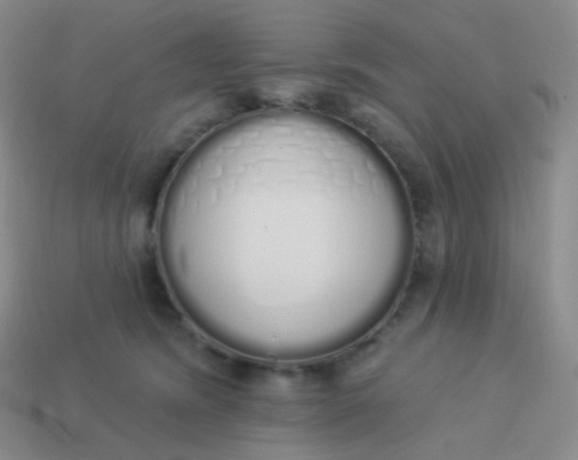 X0000114000420200910161713