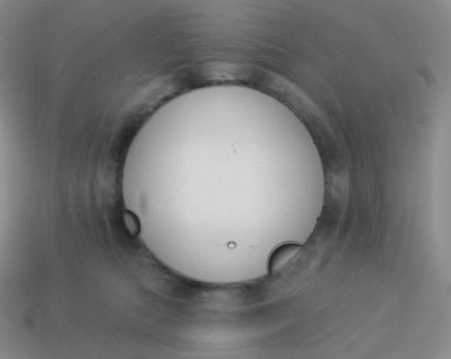 X0000114000422200910161713
