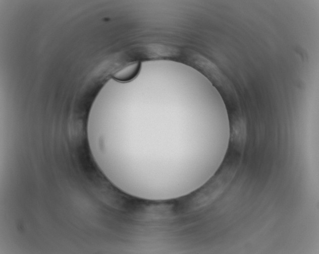 X0000114000426200910161713