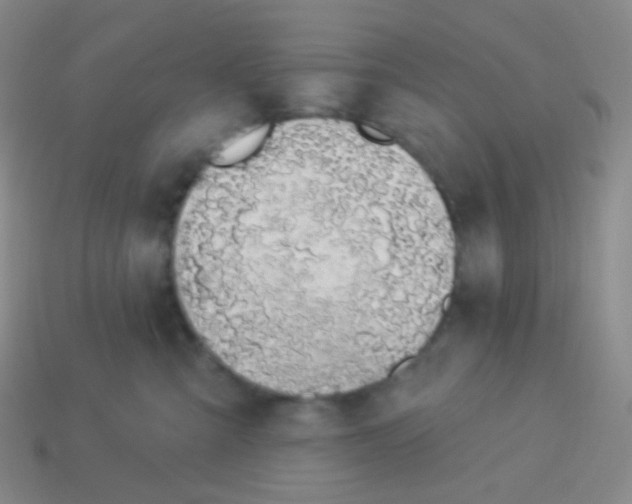 X0000114000427200910161713