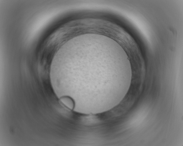 X0000114000431200910161713