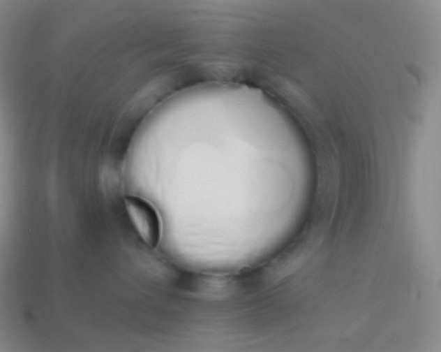 X0000114000432200910161713