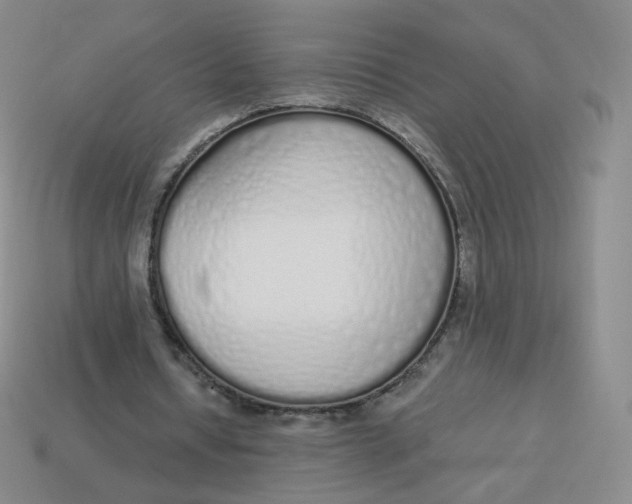 X0000114000434200910161713