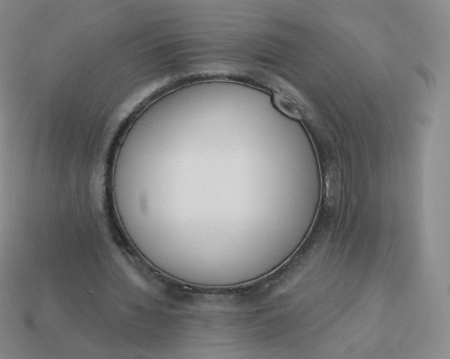 X0000114000436200910161713