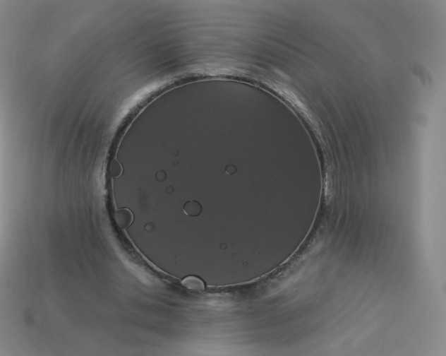 X0000114000438200910161713