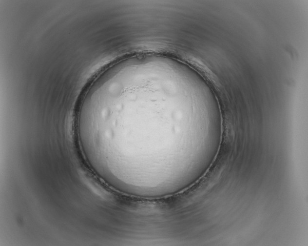 X0000114000439200910161713