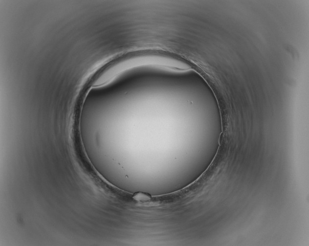 X0000114000440200910161713